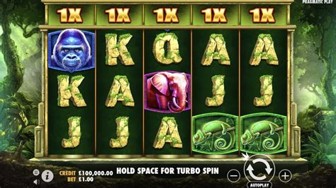 jungle gorilla spins  How to Play Silverback Gold™ Chase down the legendary Golden Silverbacks – the highest paying symbol in the game – by entering Free Spins and collecting mysterious tokens to fill your meter, transforming lower paying symbols into the king of the jungle! Head into the heart of the jungle with our Gorilla Go Wild slot review and meet Gary the Gorilla, a cute primate